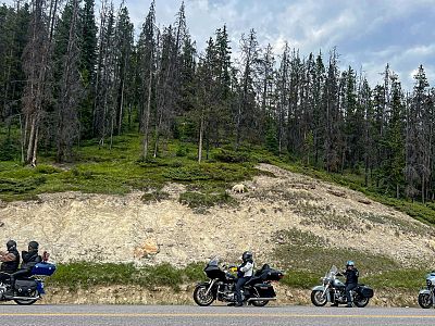 Ice Fields Parkway